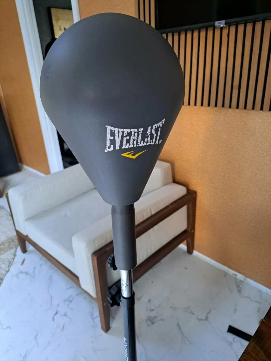 Everlast Punching bag - Image 2