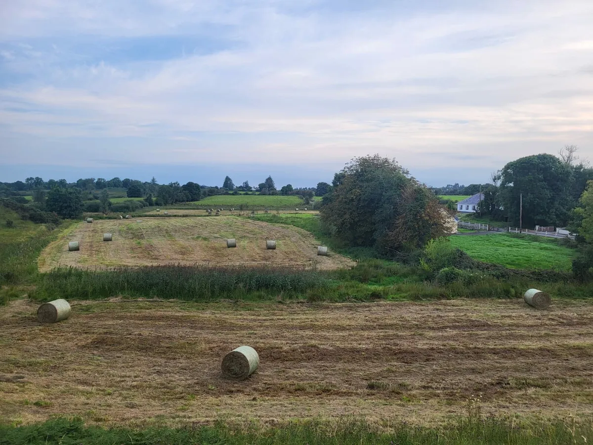 Haylage for Sale - Image 2