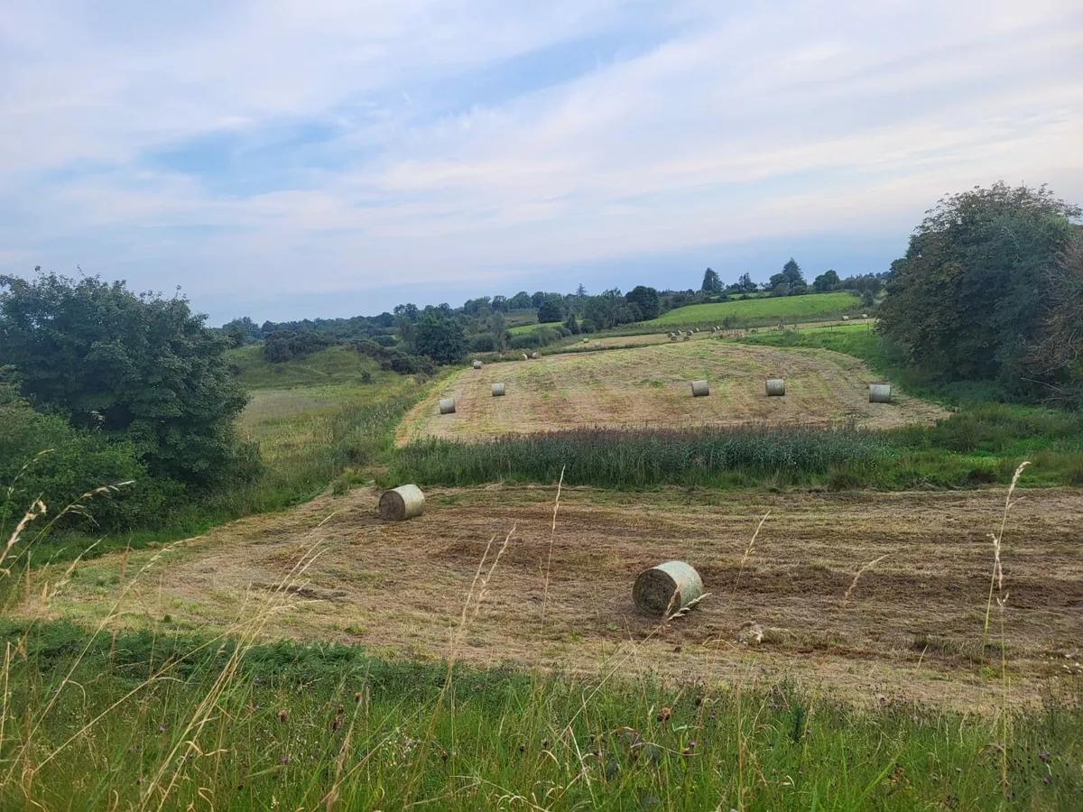 Haylage for Sale - Image 3