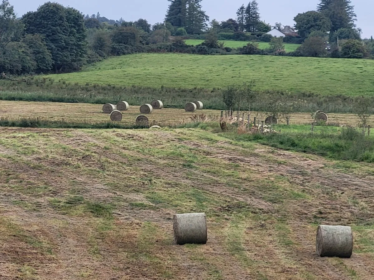 Haylage for Sale - Image 1