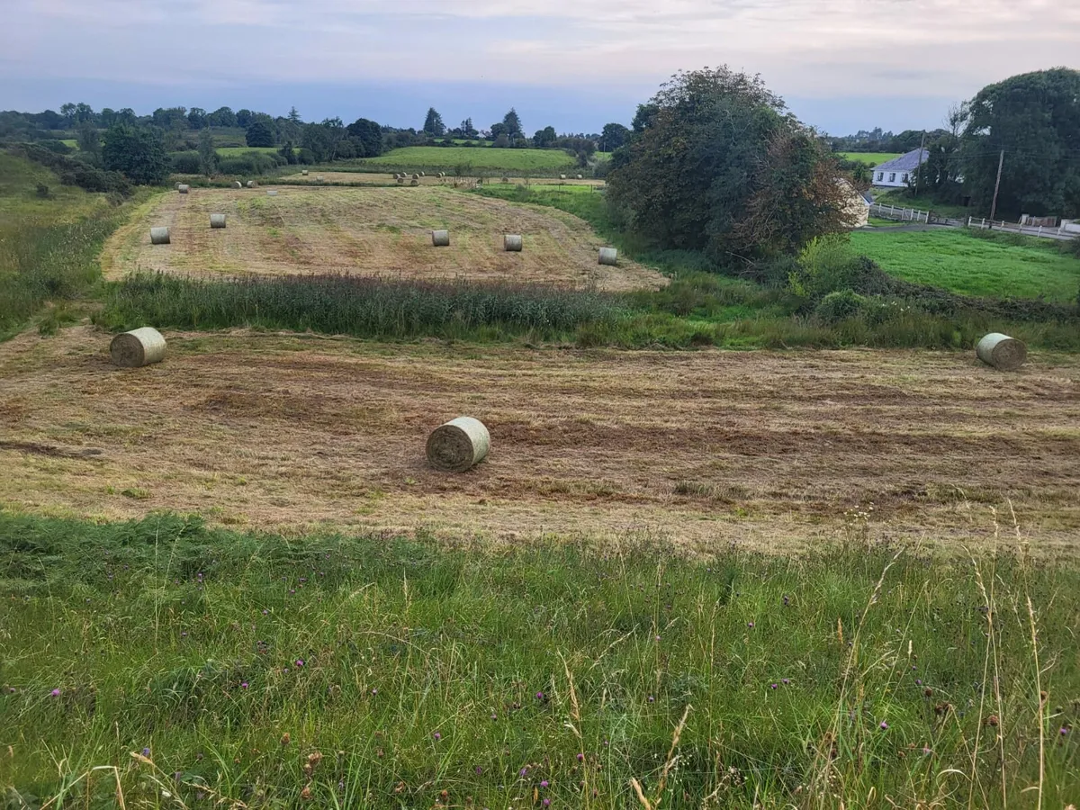 Haylage for Sale - Image 4