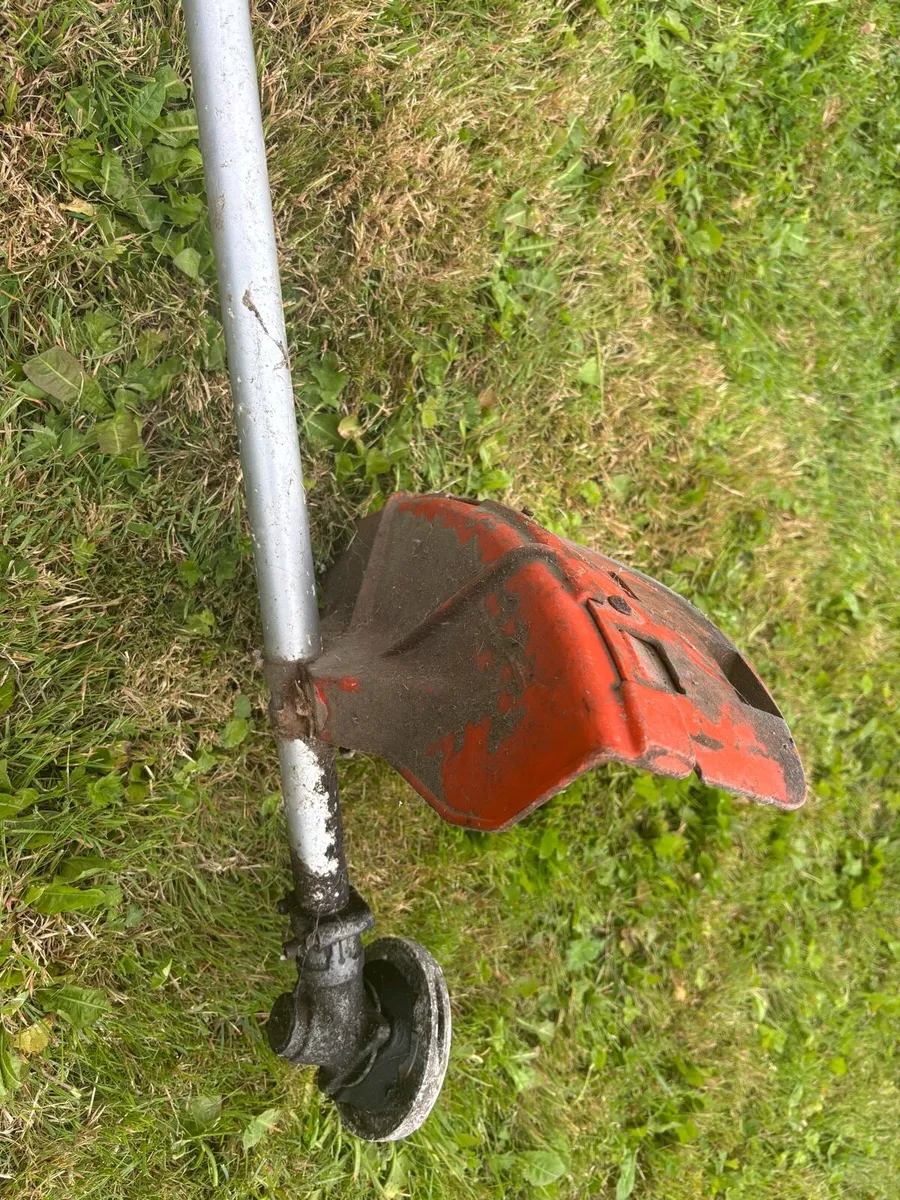 Strimmer - Image 1