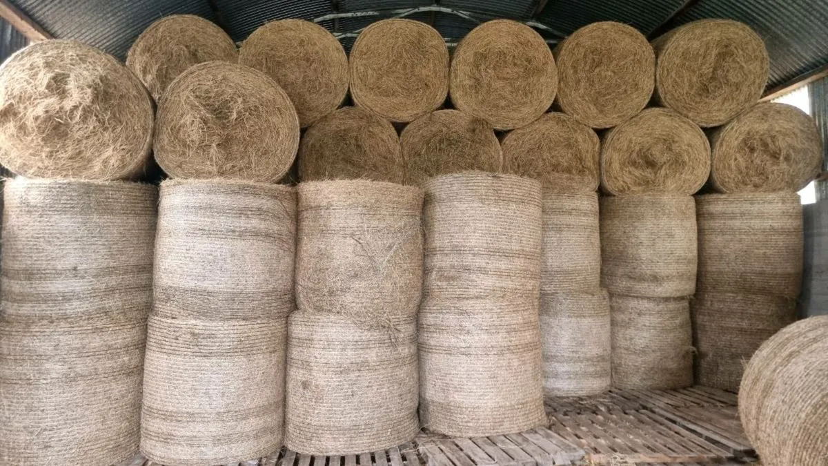 Hundreds of good bales of green hay - Image 1