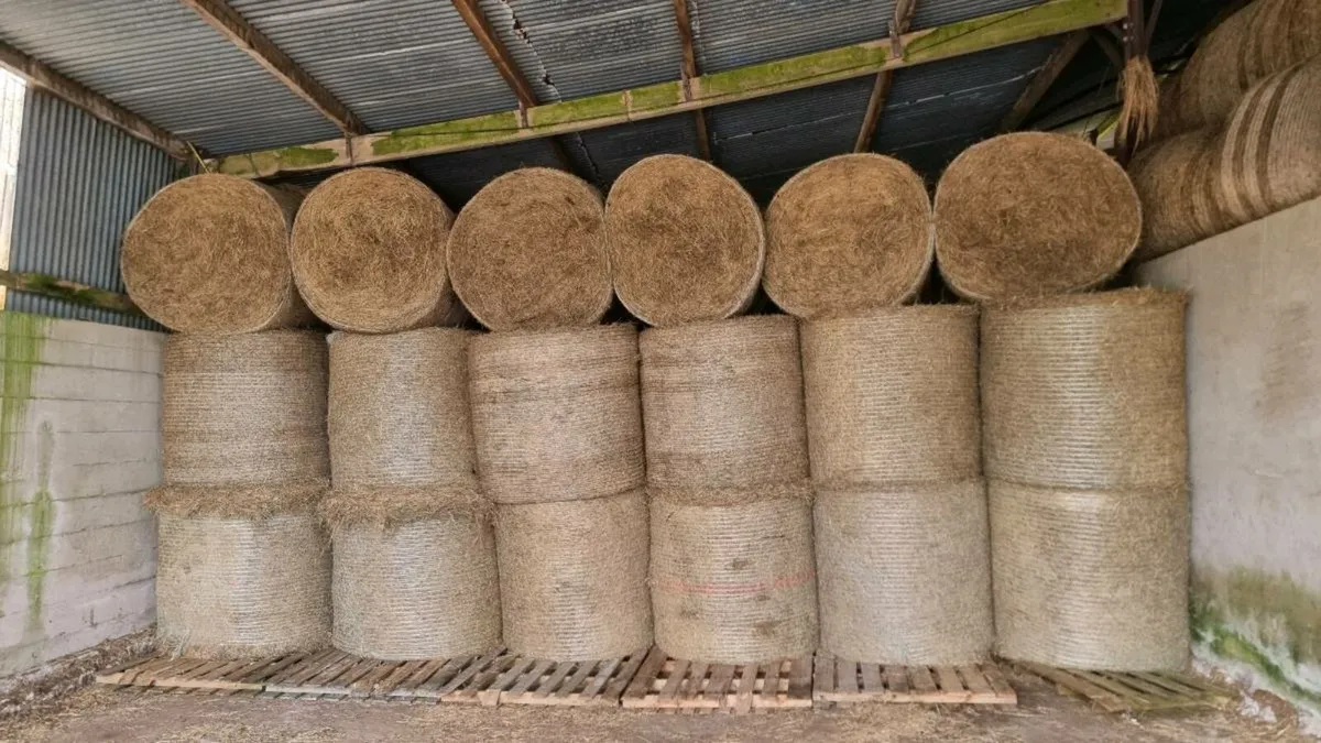 Hundreds of good bales of green hay - Image 3