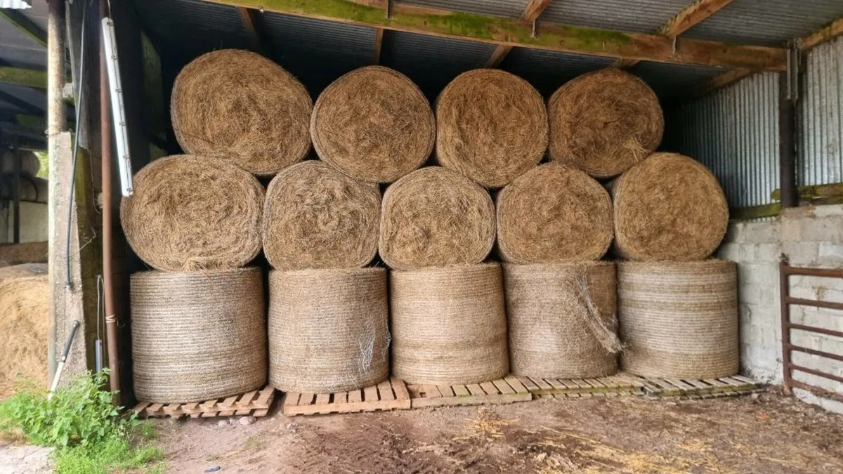 Hundreds of good bales of green hay - Image 4