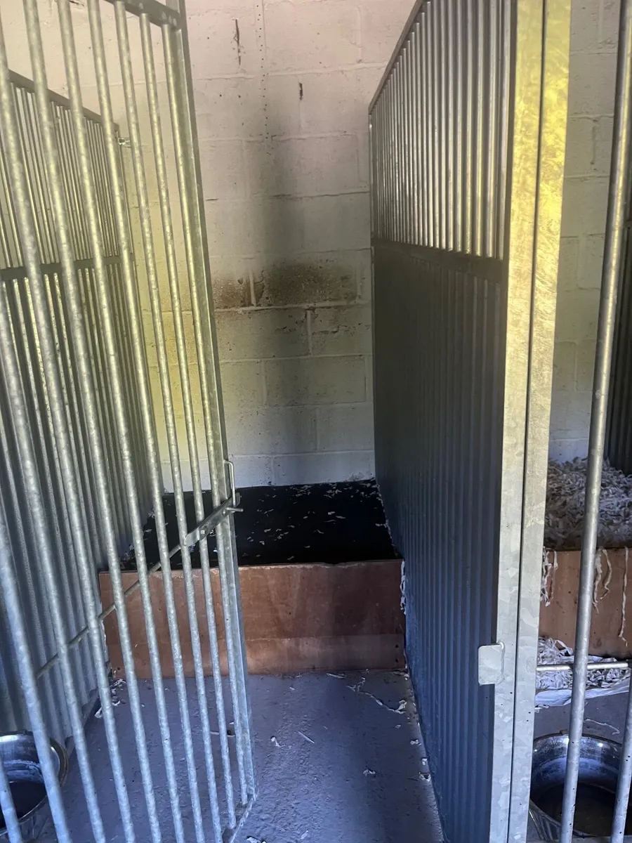 Kennels - Image 2