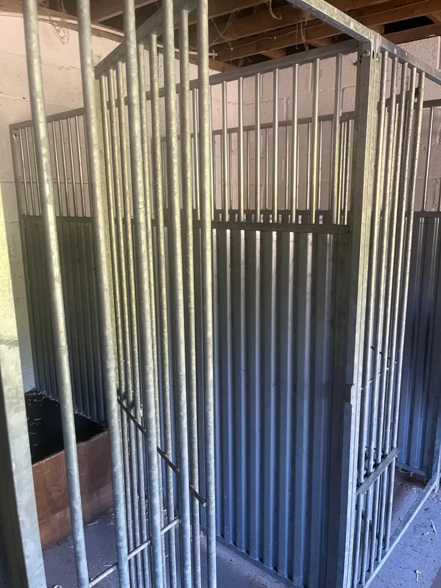 Kennels - Image 3