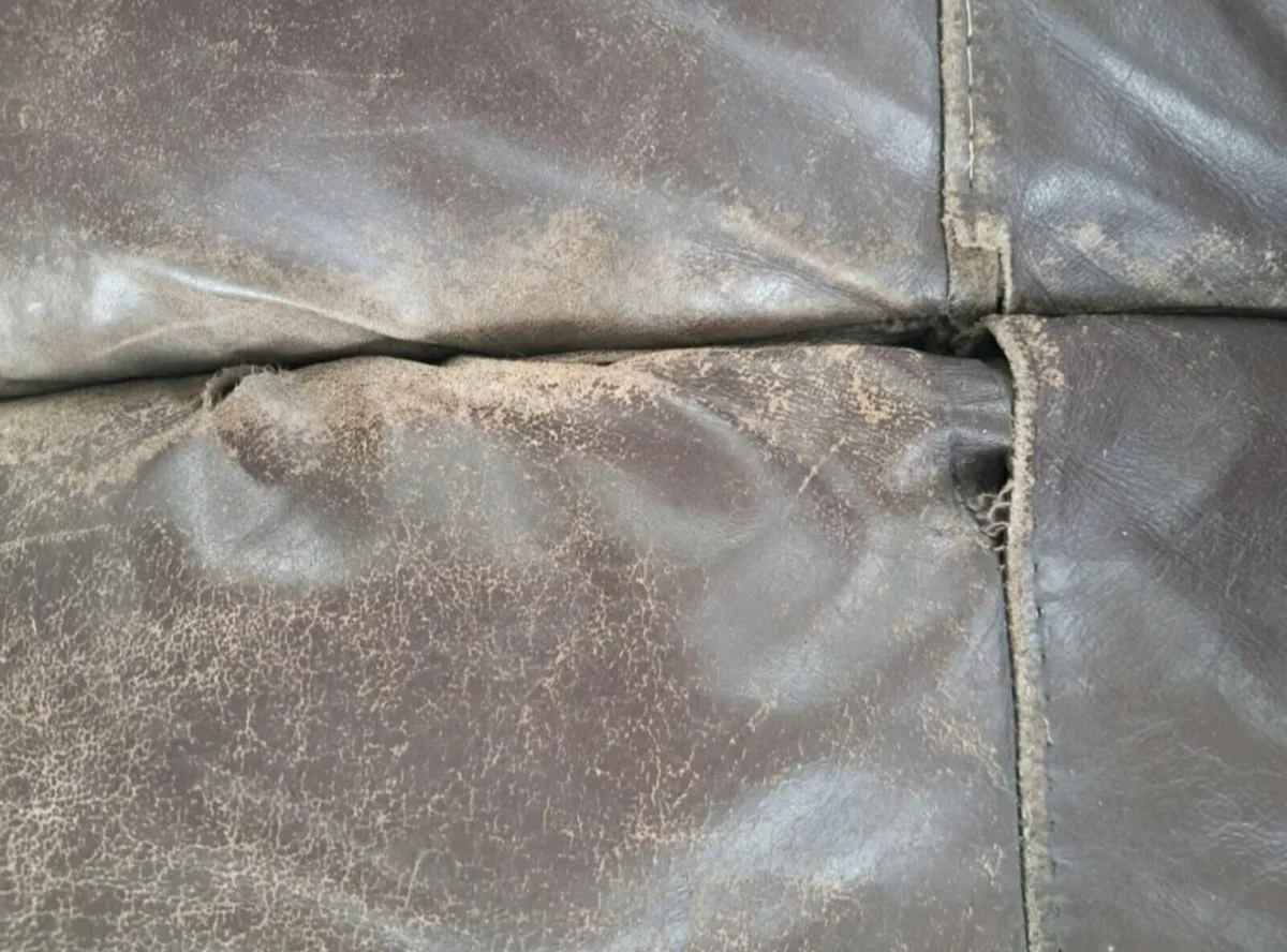 Couch - Image 2