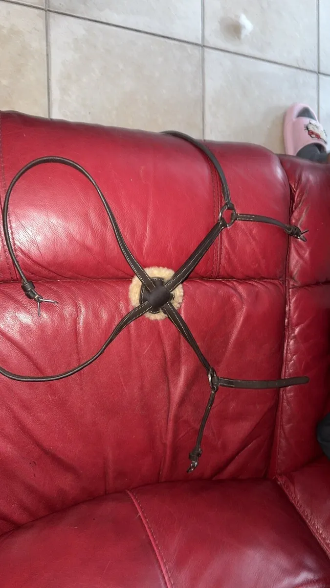 crossed noseband - Image 2