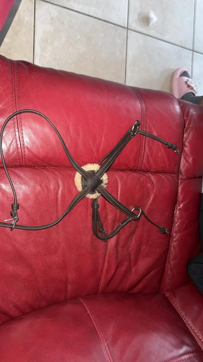 crossed noseband - Image 3