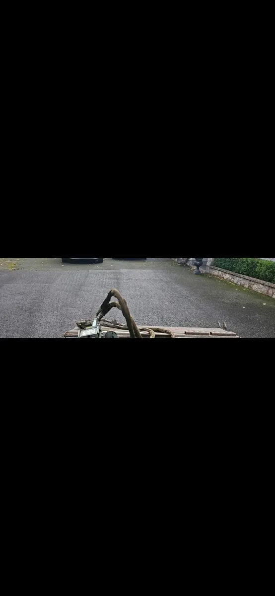 Bobcat/avantSweeper - Image 2