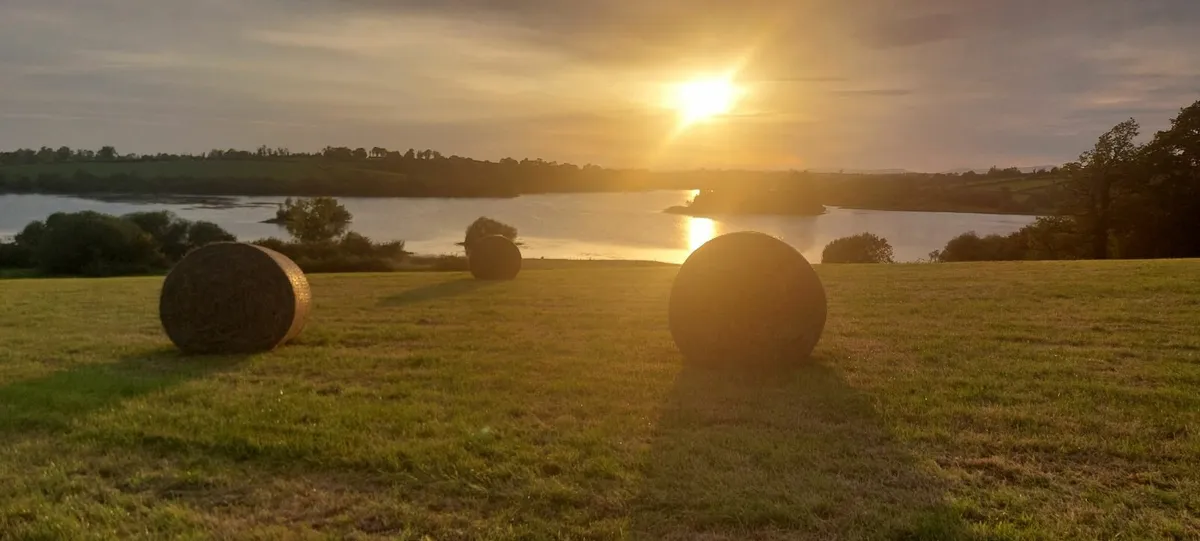 IF CARLSBERG made hay . ORGANIC - Image 1