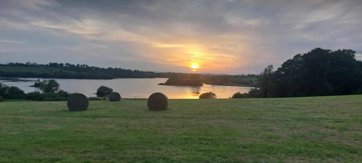 IF CARLSBERG made hay . ORGANIC - Image 4