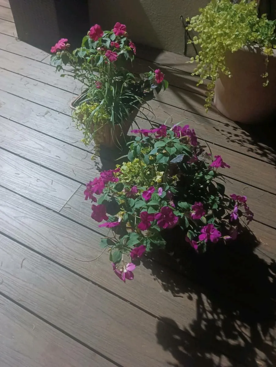 Lovely fresh made pots - Image 4
