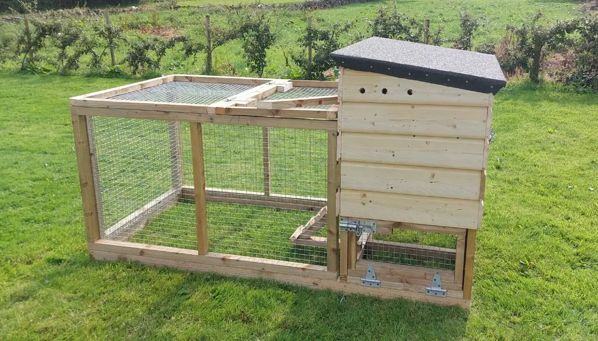 Chicken Coop - Image 2