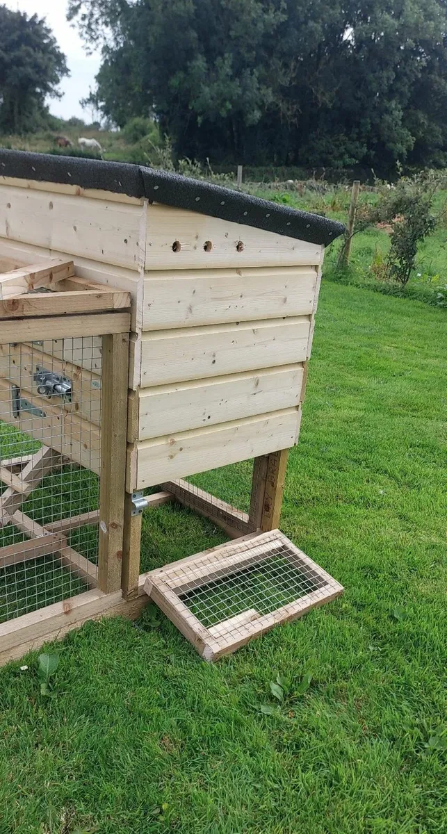 Chicken Coop - Image 4