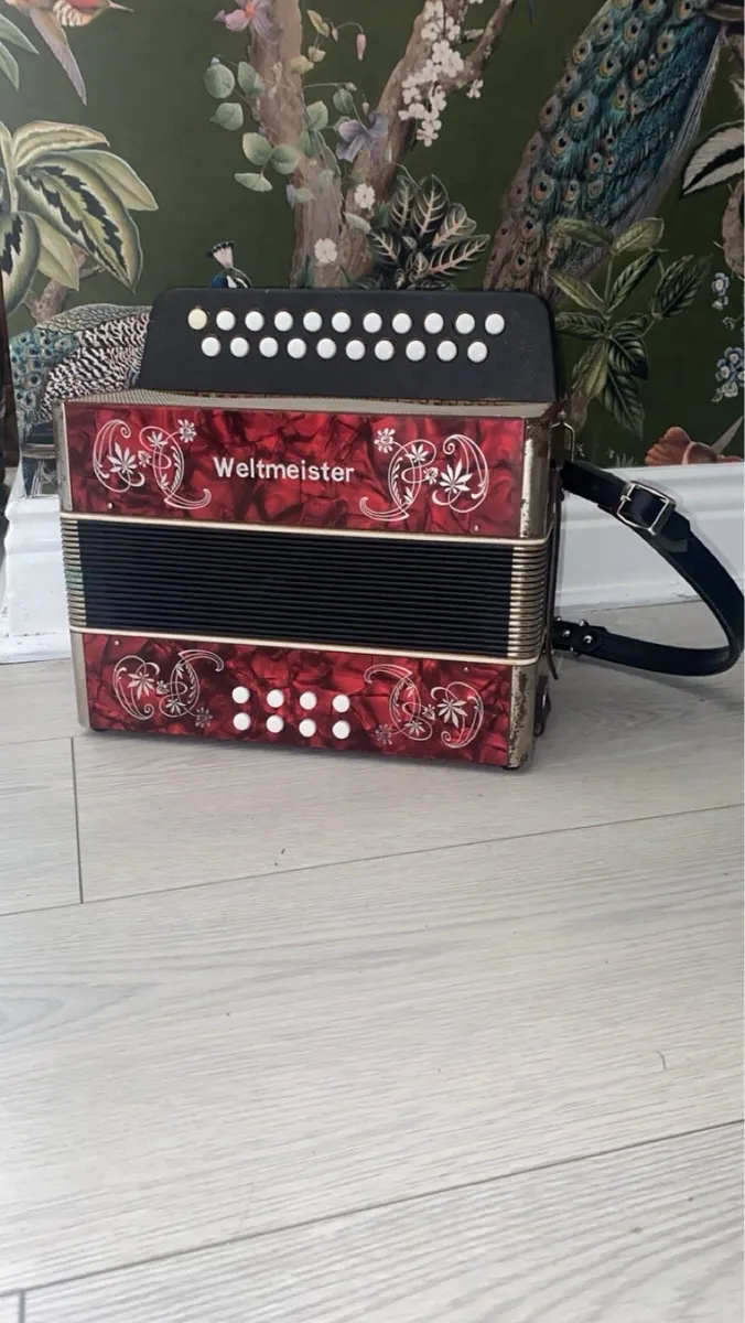 Bc tuning accordion - Image 1