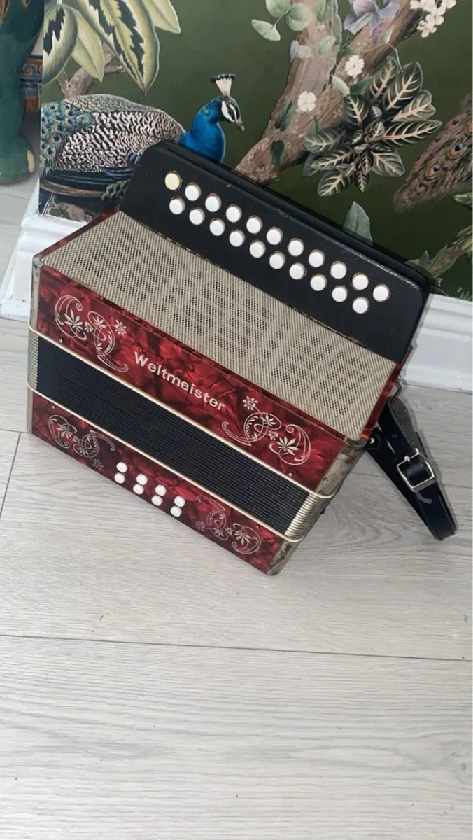 Bc tuning accordion - Image 2