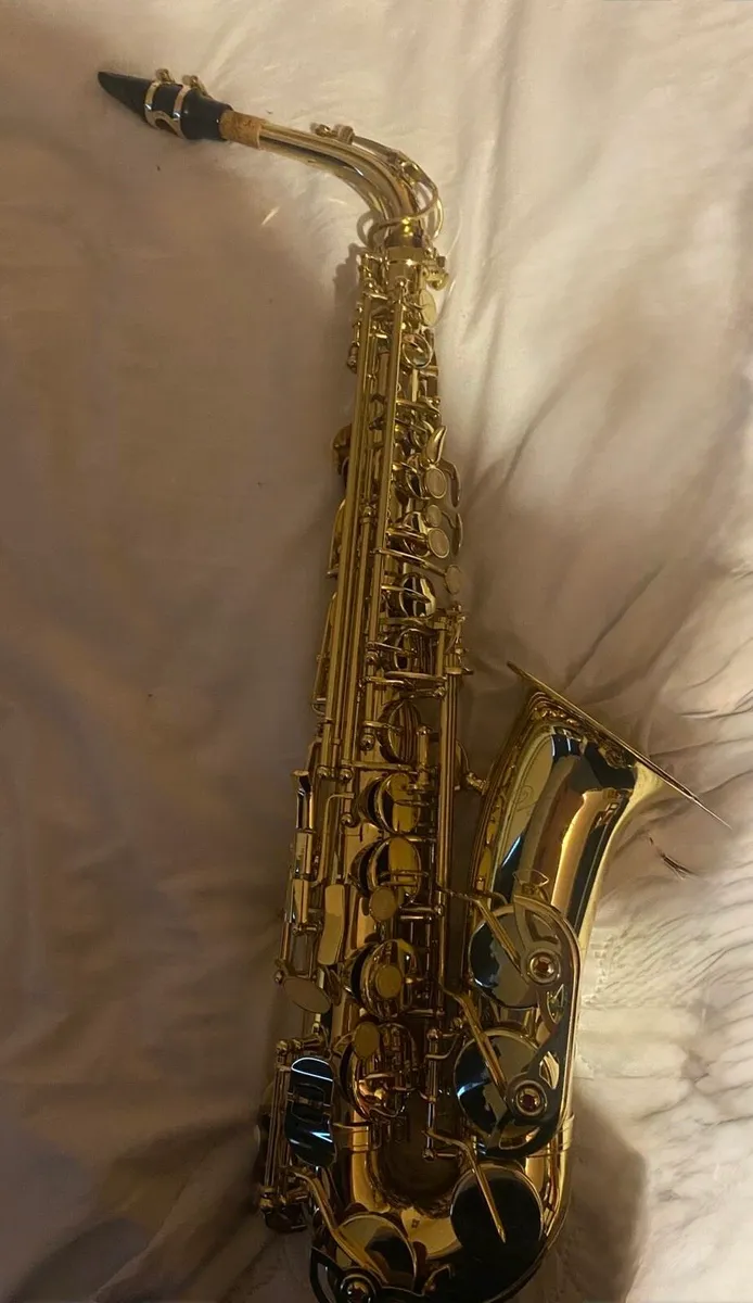 Alto Saxophone - Image 4