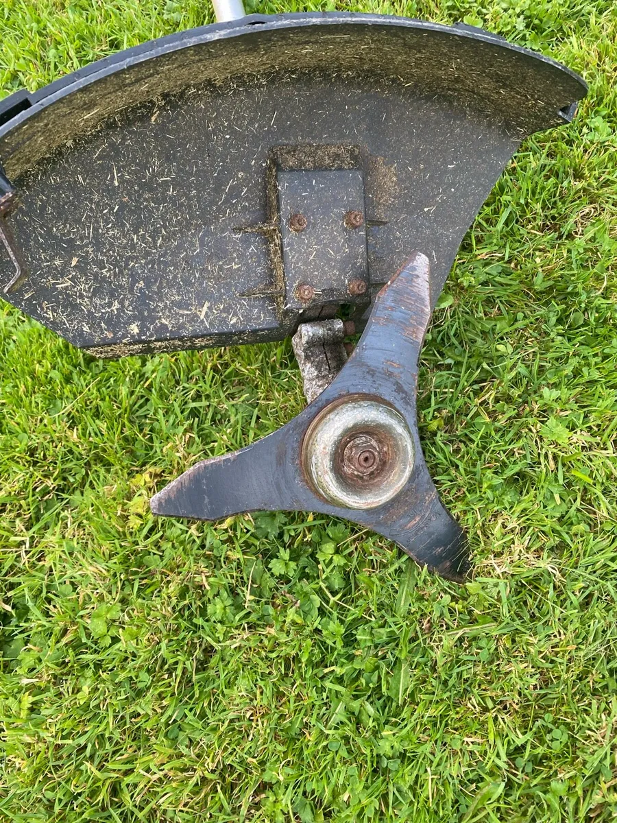 Strimmer - Image 3