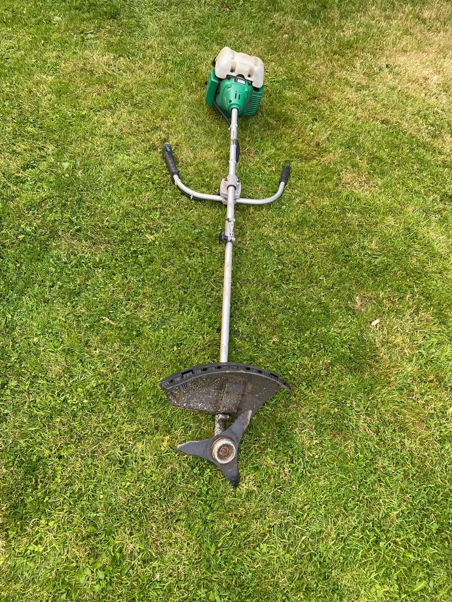 Strimmer - Image 4