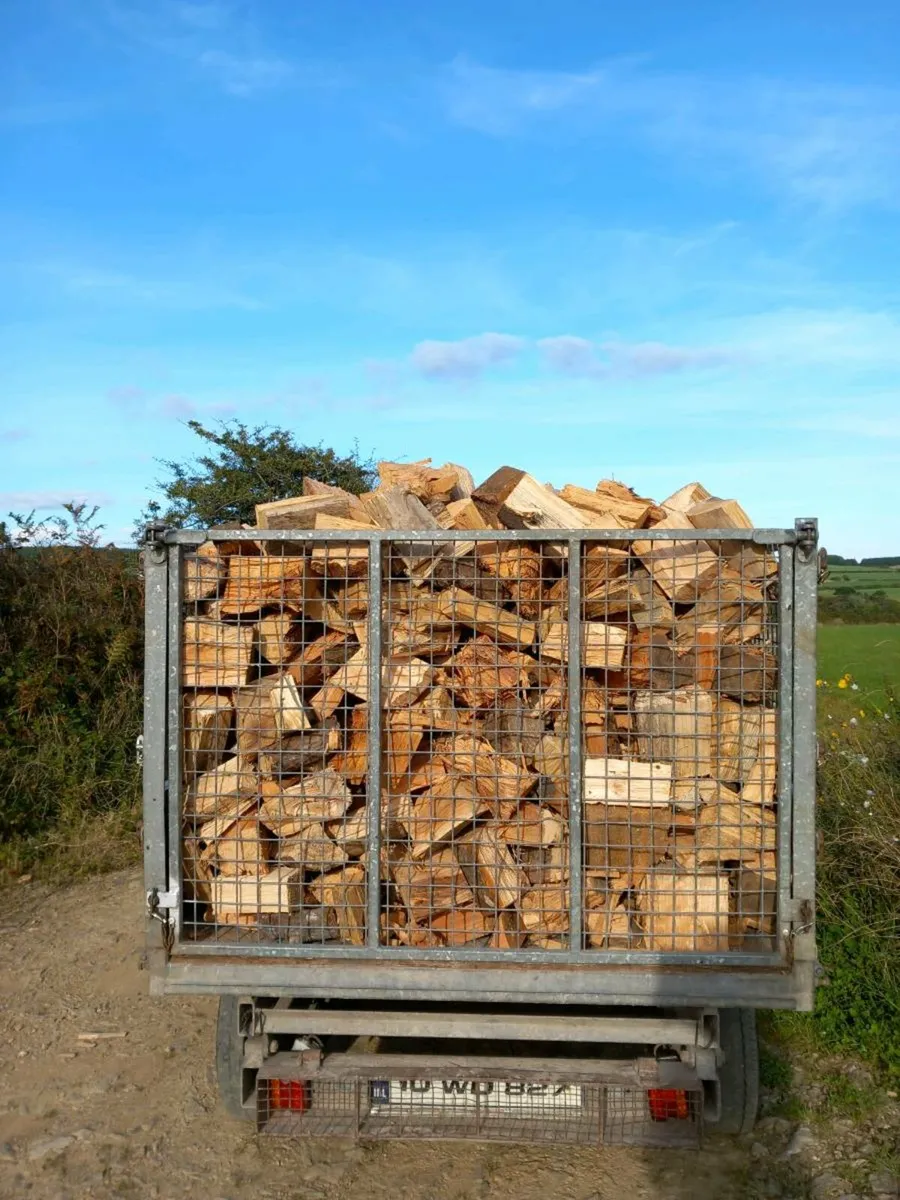 Firewood Cork City - Image 4