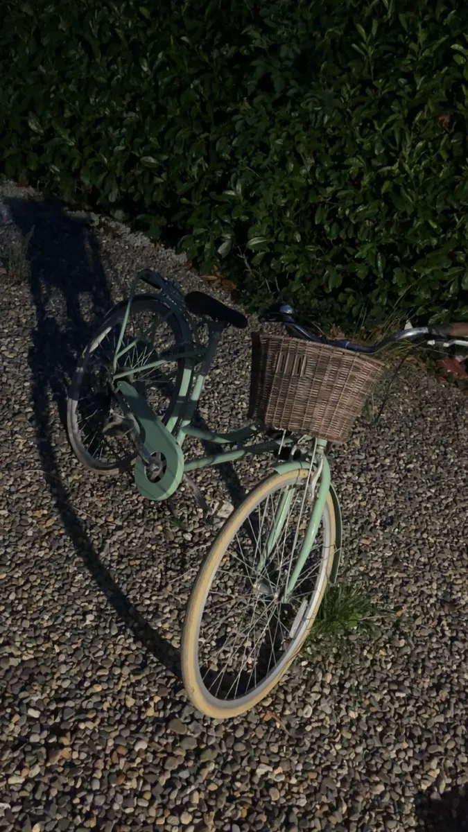 Bike - Image 1