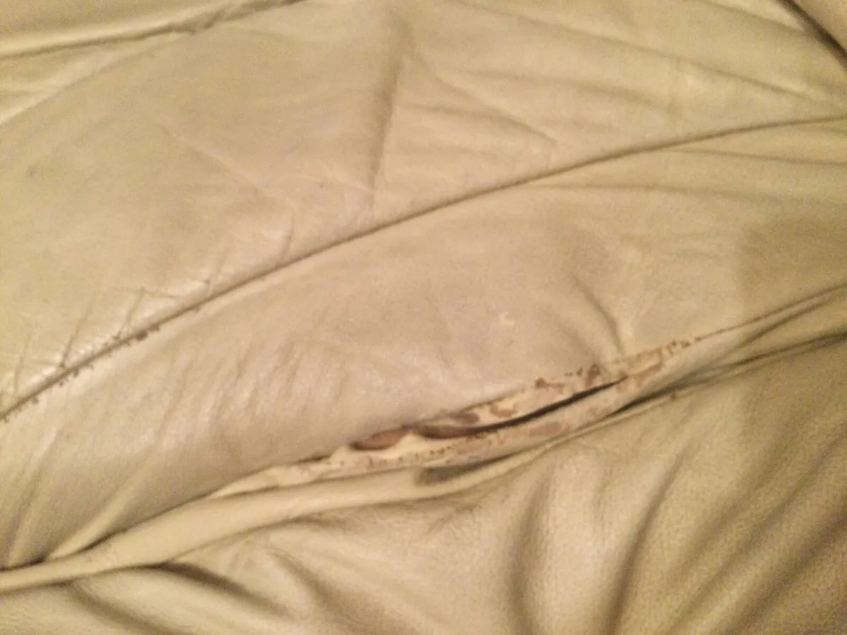 Sofa - Image 2