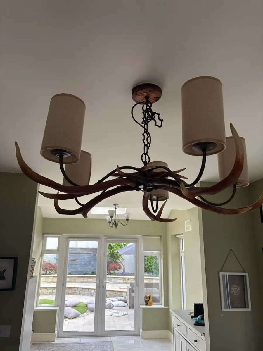 David hunt antler pendant and light shade - Image 2