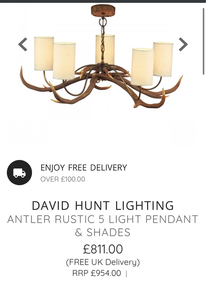 David hunt antler pendant and light shade - Image 4