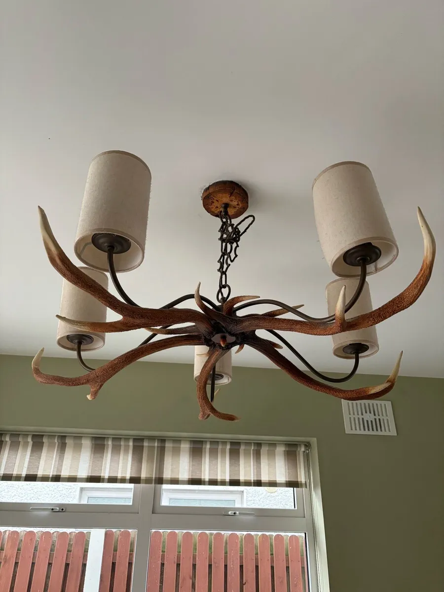 David hunt antler pendant and light shade - Image 1