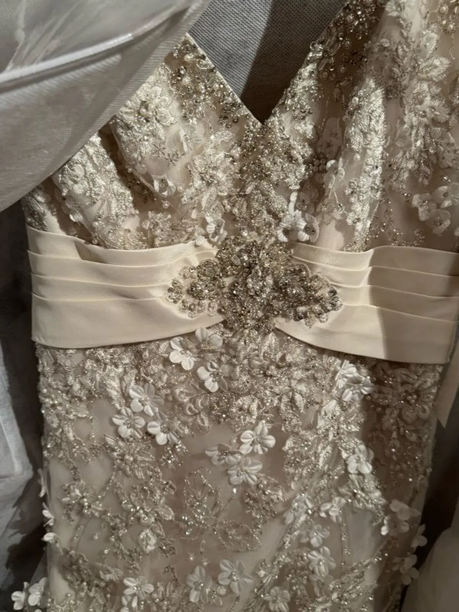 Wedding - Image 1