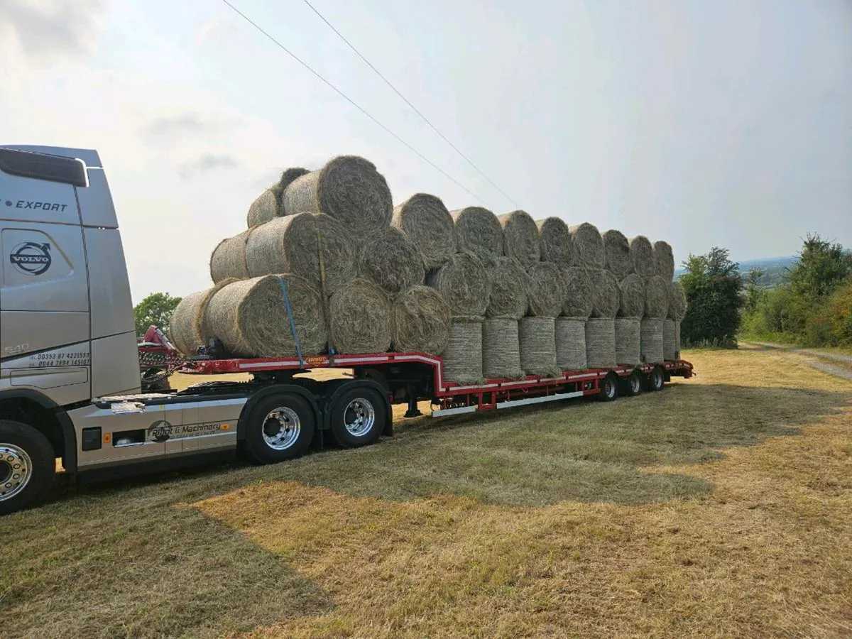 Organic hay