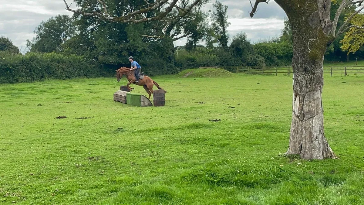 5 Year Old - Image 2