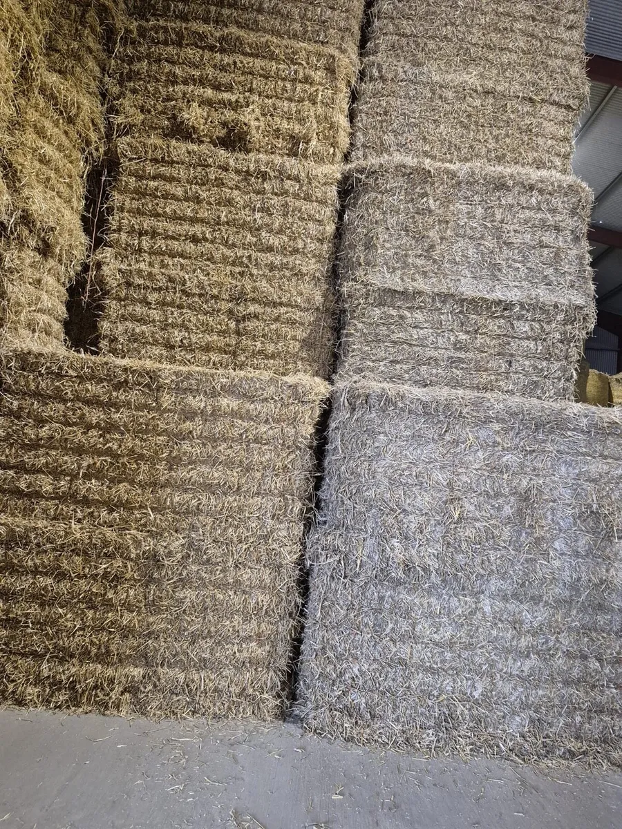 Top Quality Barley, Wheaten & Oaten straw