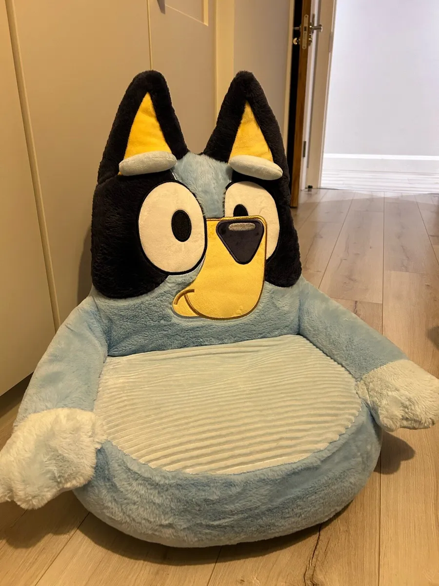 Bluey chair - Image 1