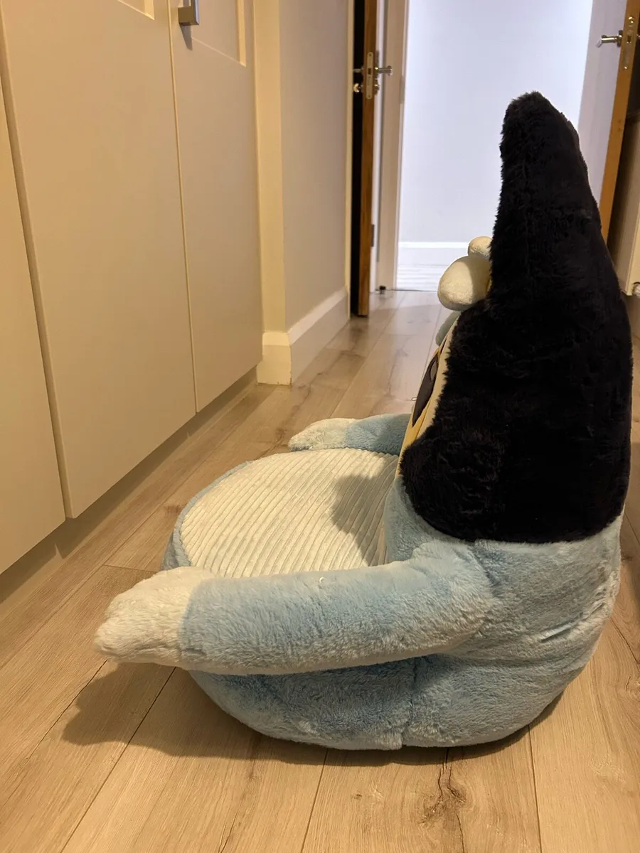 Bluey chair - Image 3