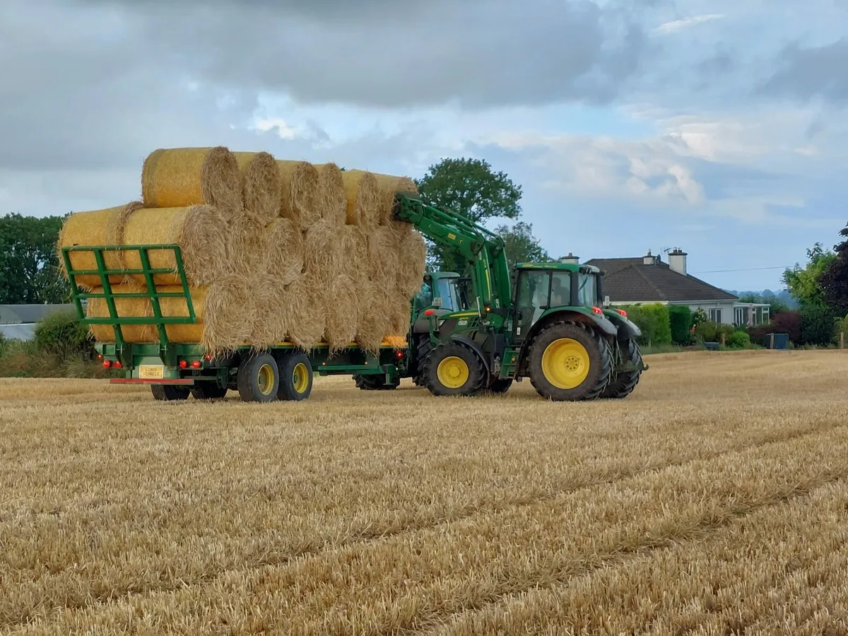 Straw - Image 1