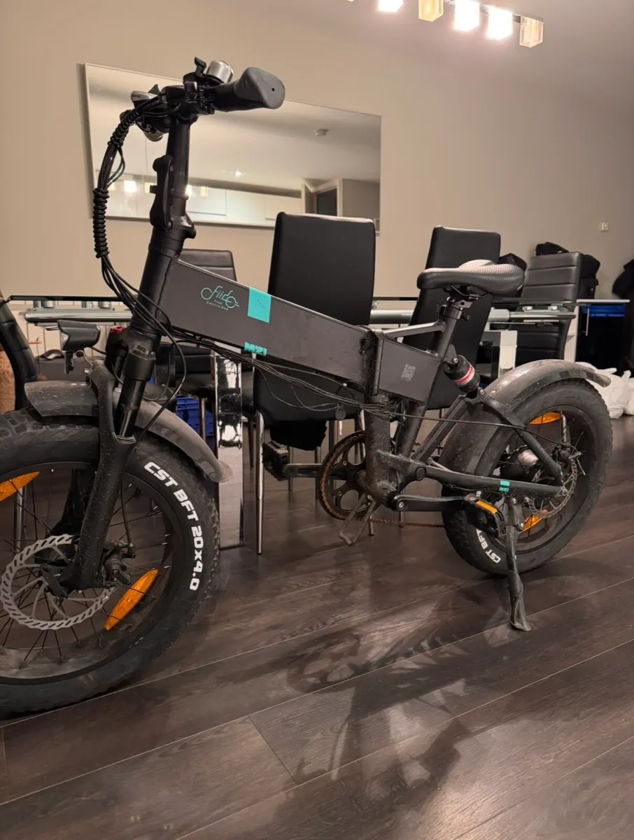 Fiido M21 Electric Bike - Image 1