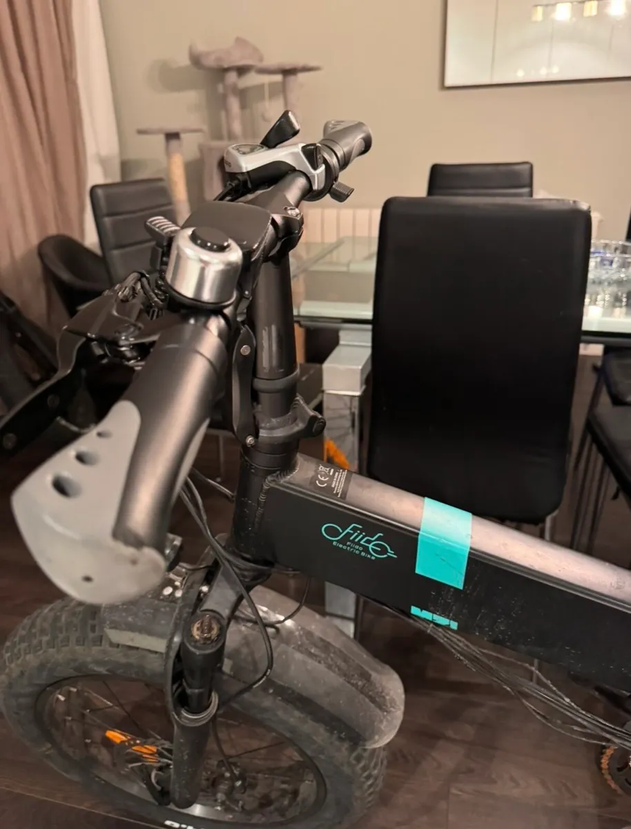 Fiido M21 Electric Bike - Image 3