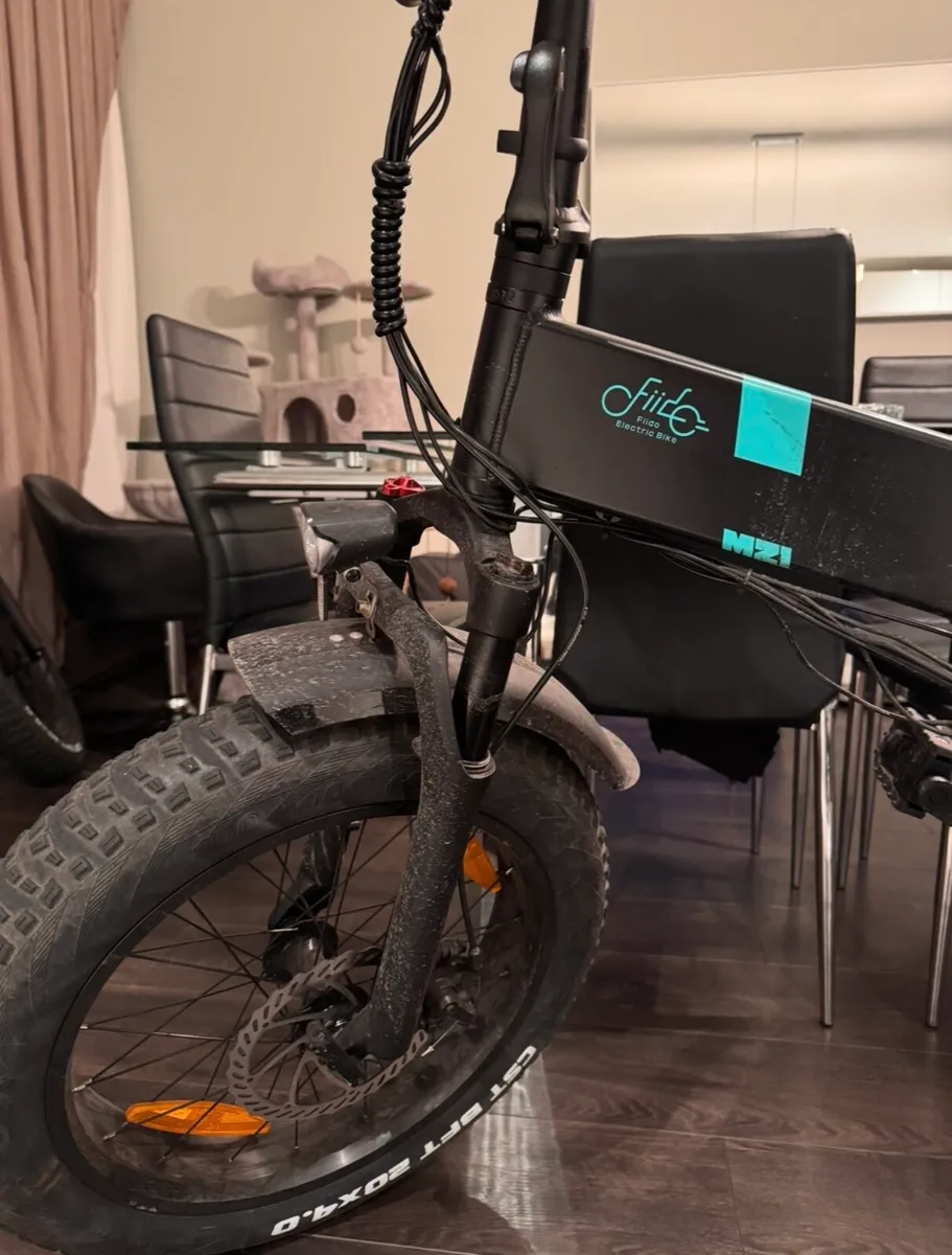 Fiido M21 Electric Bike - Image 4