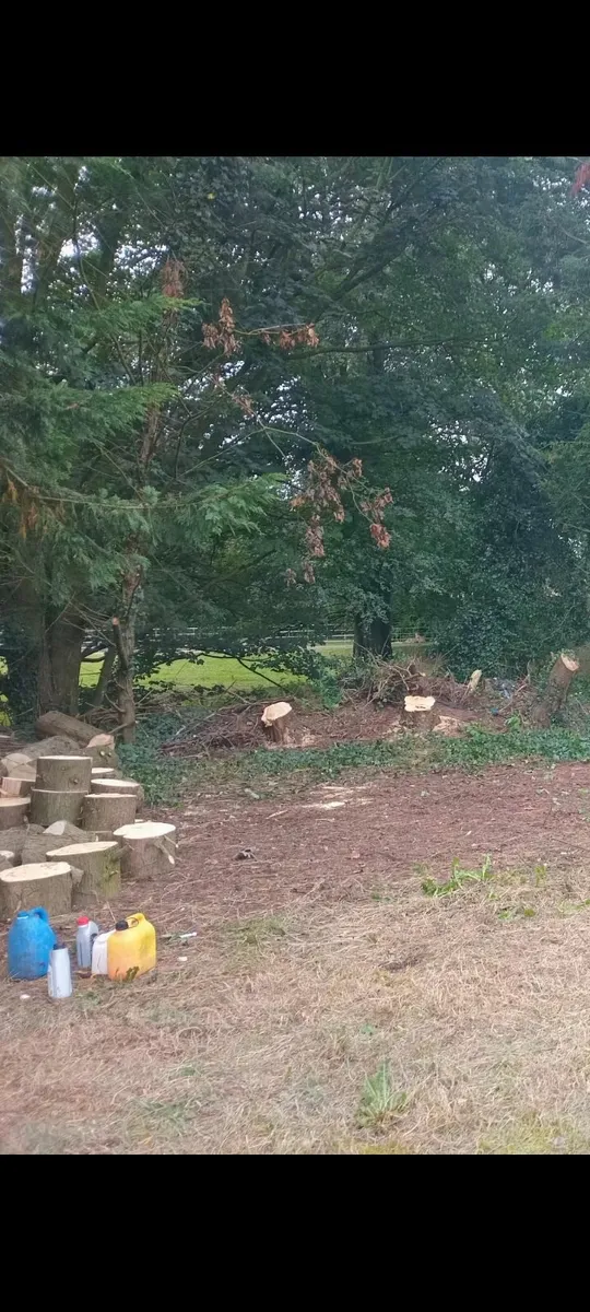 Fire wood - Image 1