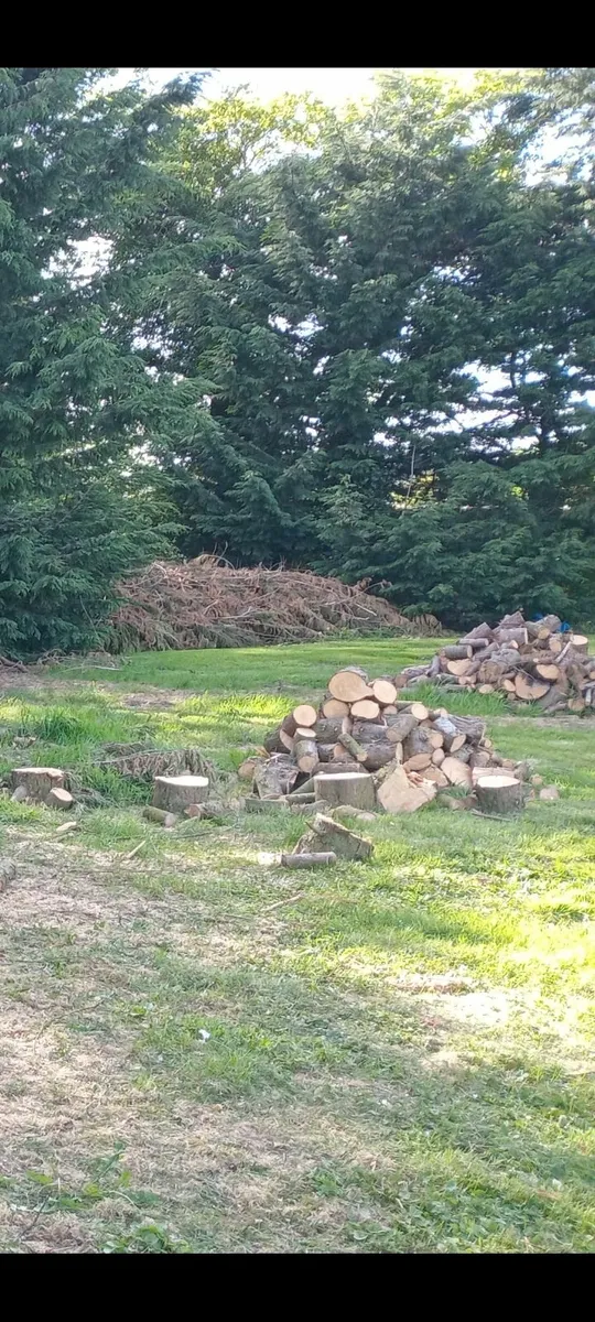 Fire wood - Image 2