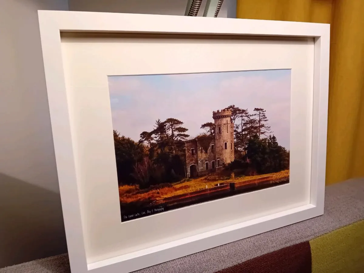 Fota Castle - Image 3