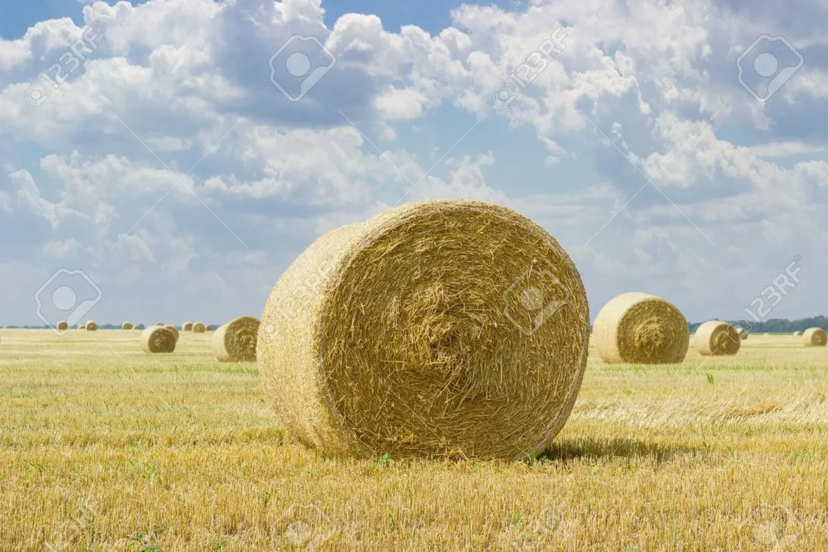 Barley & Oat Straw