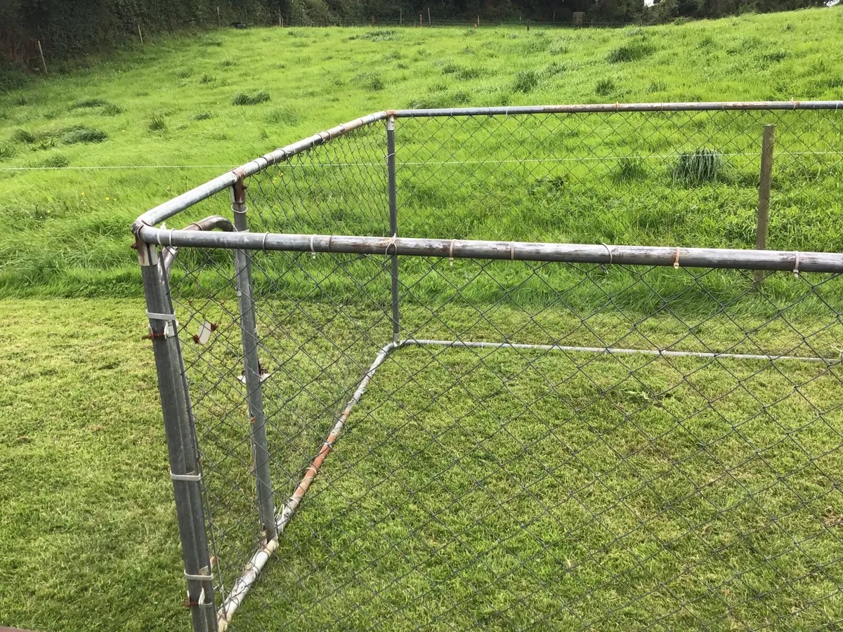 Dog run - Image 3