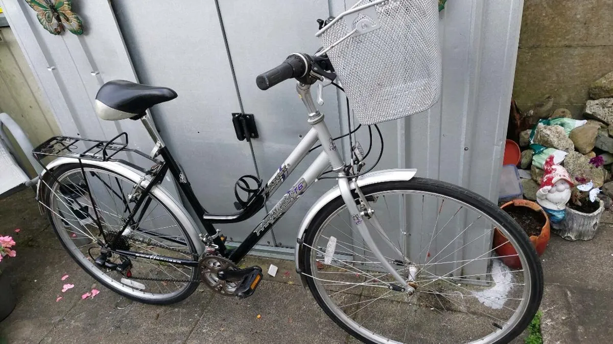 Parkway Planet Trekking Bike - Image 1