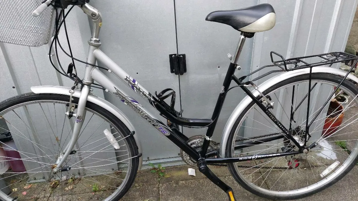 Parkway Planet Trekking Bike - Image 4