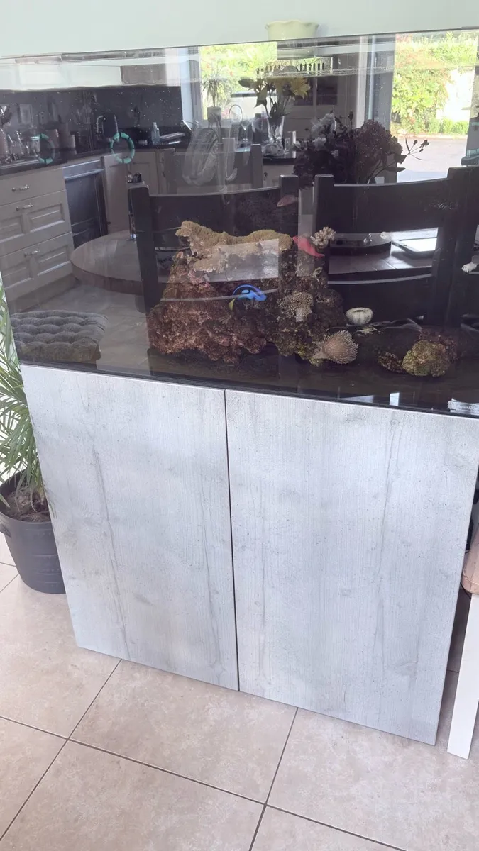 Reefsys 255 with sump cabin reef Matt 500 €850 - Image 1