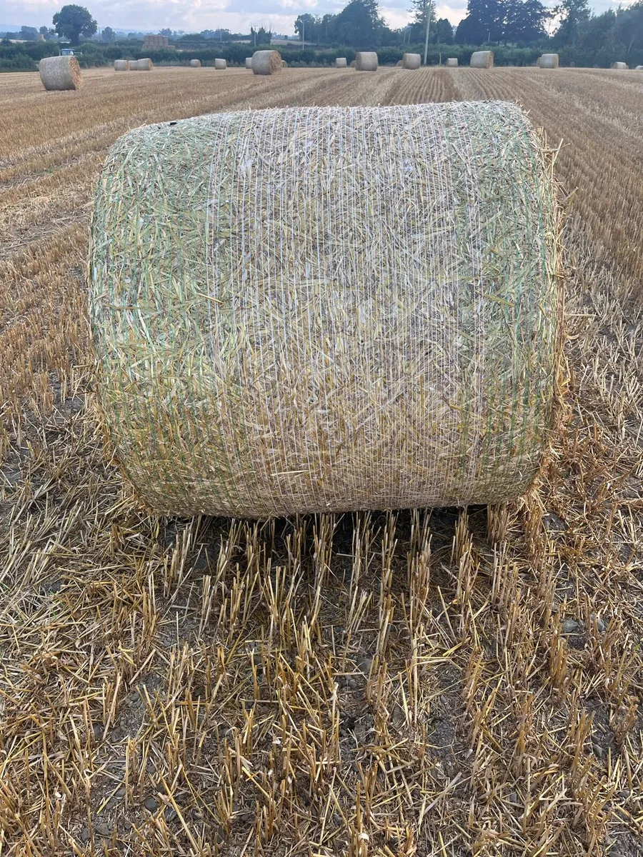 4x4 bales of oating straw - Image 2